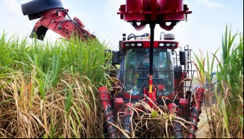 agropecuaria-numero-de-issoes-foi-maior-que-demissoes