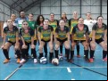 Ibitinga iniciou participa